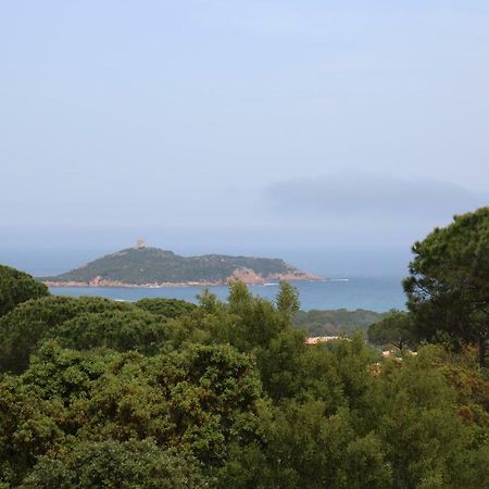 Villa Pietra Rossa Sainte-Lucie de Porto-Vecchio Exteriör bild